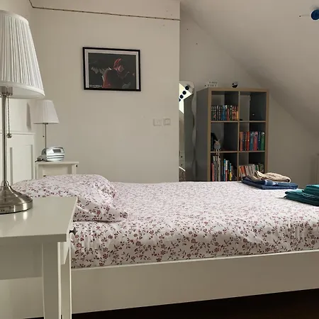 Dans Charmante Maison Pres De Sarrebruck شقة *