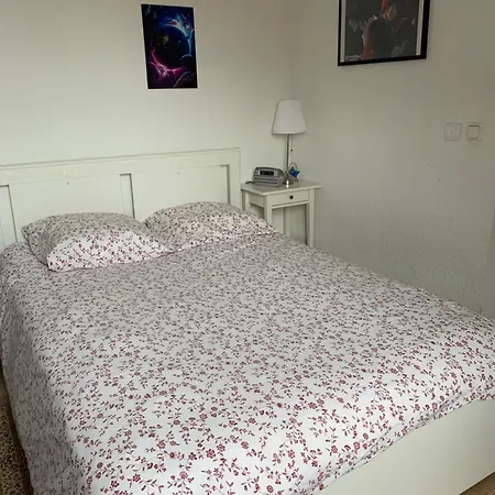 Dans Charmante Maison Pres De Sarrebruck شقة