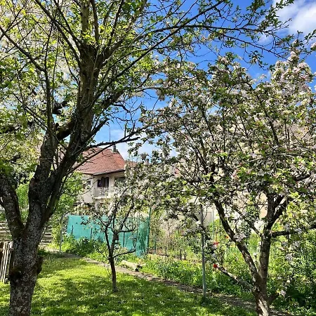 Appartement Dans Charmante Maison Près De Sarrebruck