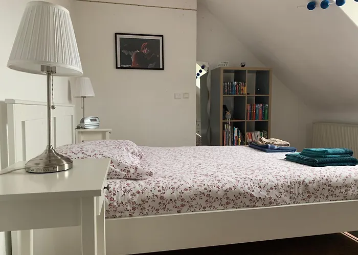 Dans Charmante Maison Pres De Sarrebruck 公寓 *