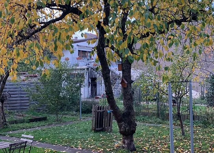 公寓 Dans Charmante Maison Pres De Sarrebruck *