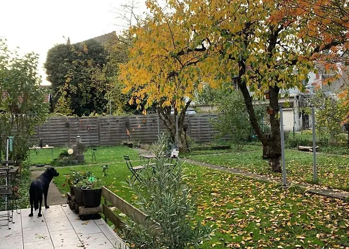 公寓 Dans Charmante Maison Pres De Sarrebruck Grosbliederstroff